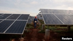 Un trabajador camina entre filas de paneles solares en un parque en las afueras de La Habana, el 24 de septiembre de 2013. (REUTERS/Stringer/Archivo)